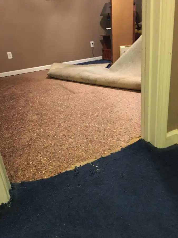 Carpet pad removal revealing water damage during Drying & Dehumidification in Colton